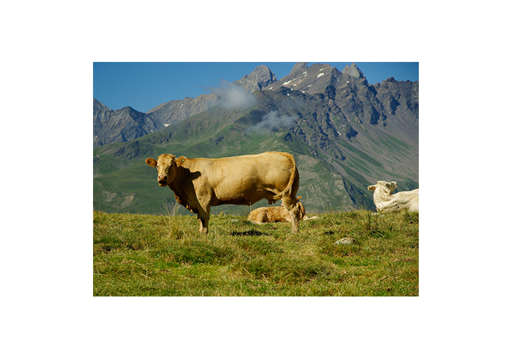 Agency-Slideshow-Panel-01